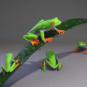 现代箭蛙3D模型下载